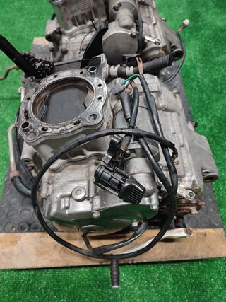 despice motores ltz