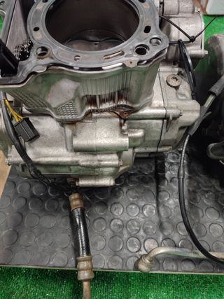despice motores ltz