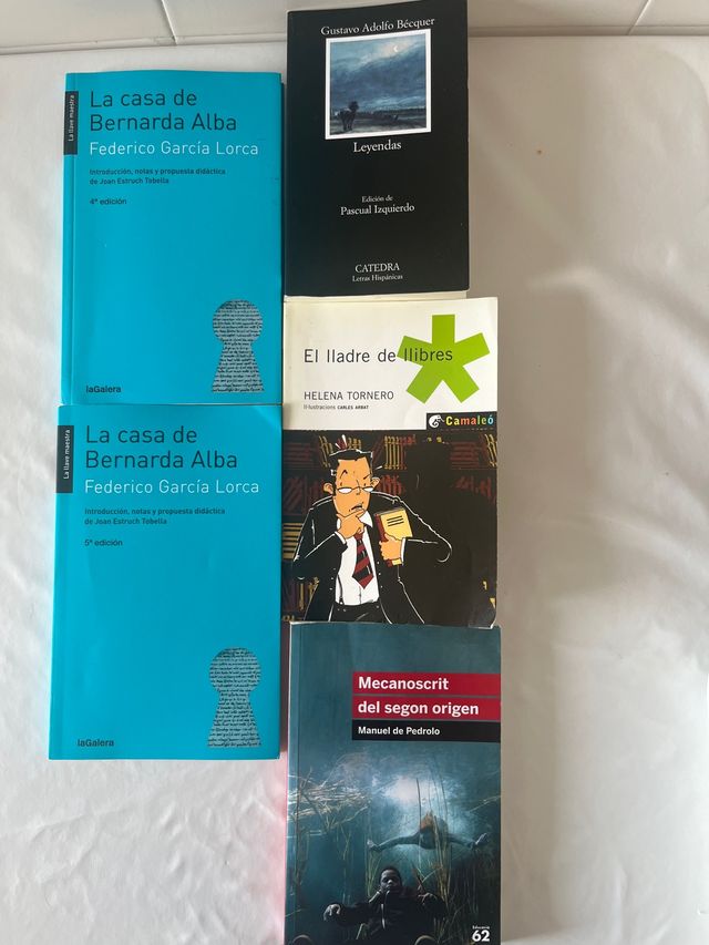 El lladre de llibres,,,