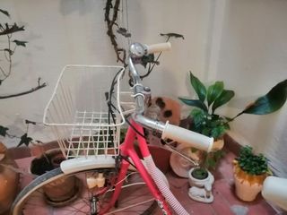 bicicleta de paseo rosa para adulto