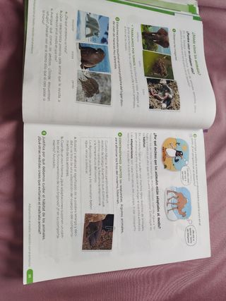 Conocimiento del Medio Natural, Social y Cultural.