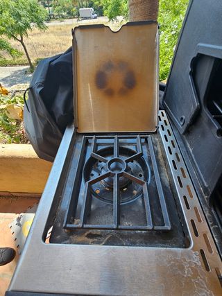 Regal S590 Pro IR  En stock BROIL KING®