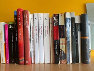 Lote de libros novela autores españoles