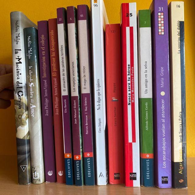 Lote de literatura juvenil