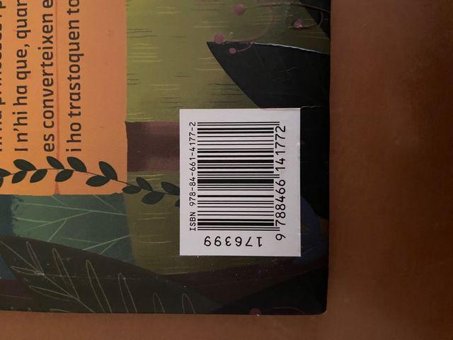 Princeses Drac, El misteri de l'ou daurat