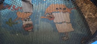 Pawhut transportin plegable para perros y gatos