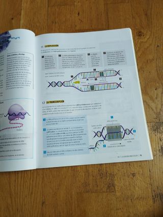 Libro Biología y Geología 4° ESO