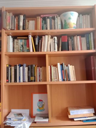 libreria libreria su misura da falegname