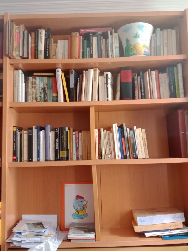 libreria libreria su misura da falegname