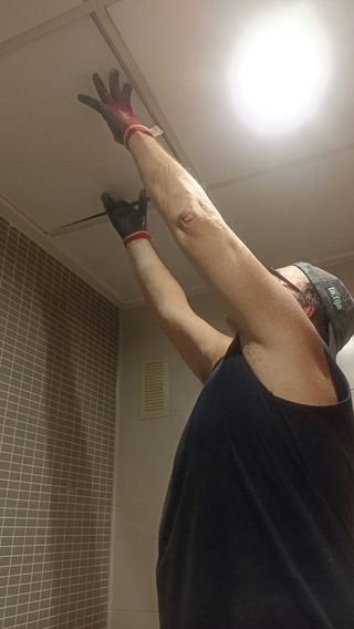 Pintor profesional y electricista. Manitas
