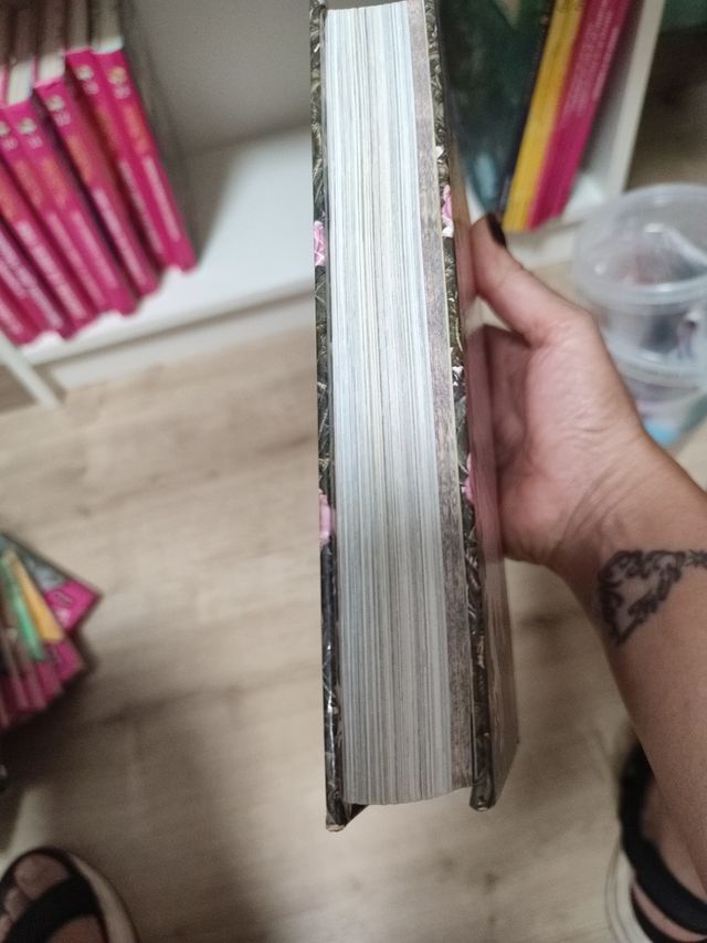 libros de Tea Stilton el secreto de las hadas del