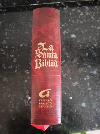 la santa biblia edición limitada especial