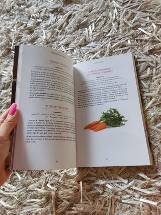 libro sabrosas y saludables recetas de cocina
