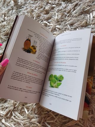 libro sabrosas y saludables recetas de cocina