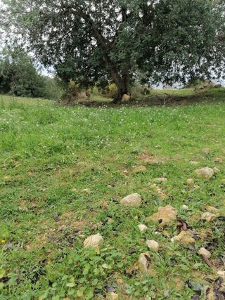 Terreno con vistas al mar a 10km del AEROPUERTO