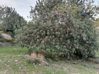 Terreno con vistas al mar a 10km del AEROPUERTO