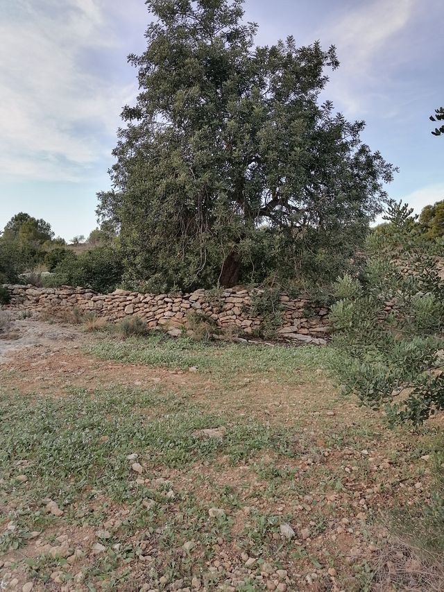 Terreno con vistas al mar a 10km del AEROPUERTO