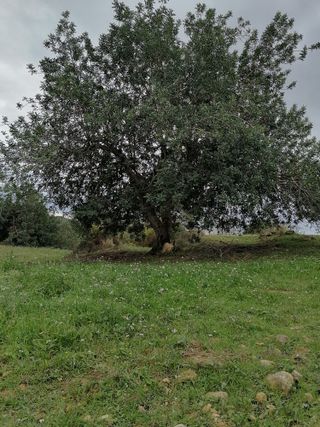Terreno con vistas al mar a 10km del AEROPUERTO