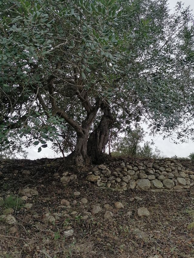 Terreno con vistas al mar a 10km del AEROPUERTO