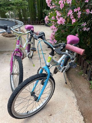 bici niñ@ 20 pulgadas