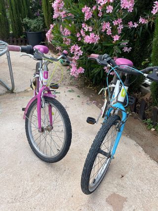 bici niñ@ 20 pulgadas