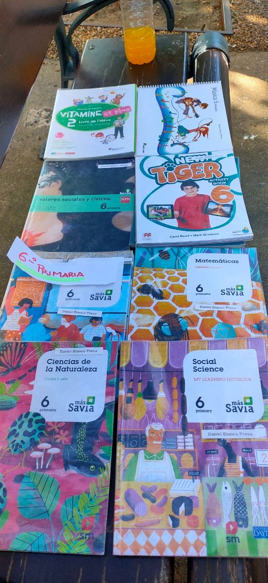 Libri di testo di sesta elementare