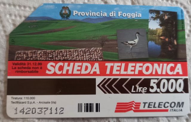 carta telefonica"Foggia"