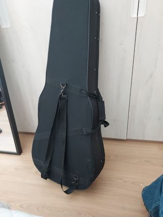 Guitarra Ibanez+funda rígida y correa