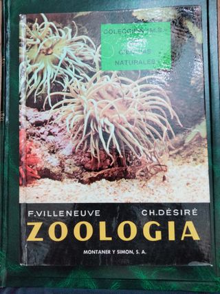 10libros antiguos muy interesantes