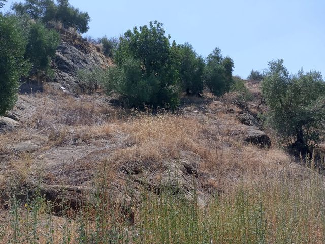 Casa 80m2 con 17000m2 a 3 min centro Olvera