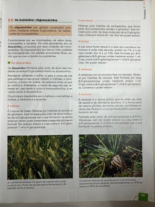Libro de texto biología 2ºBACH, Anaya