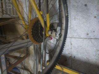 bicicleta de montaña