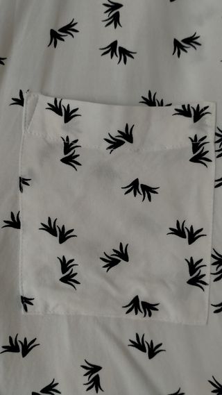 camisa