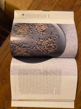 Libro "Yoga. Un estilo de vida"