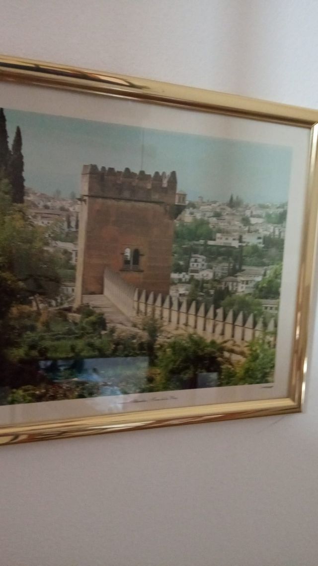 cuadros preciosos de granada