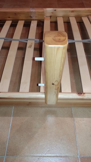 Litera flexa. Parts. Llitera flexa. Partes.