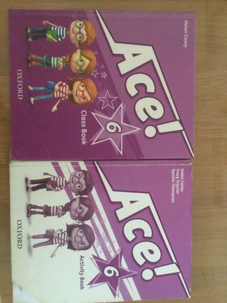 Ice Activity y Class Book 6 primaria