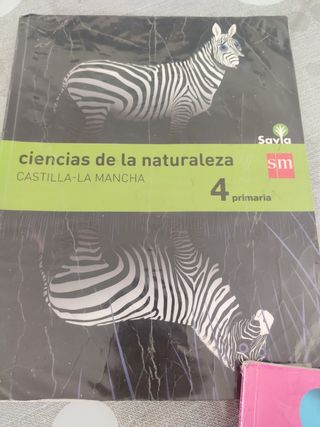 lote libros 4 primaria