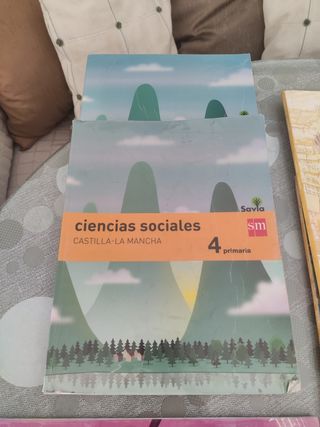 lote libros 4 primaria