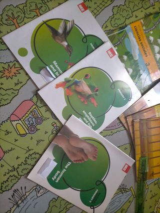 libros 3 primaria 