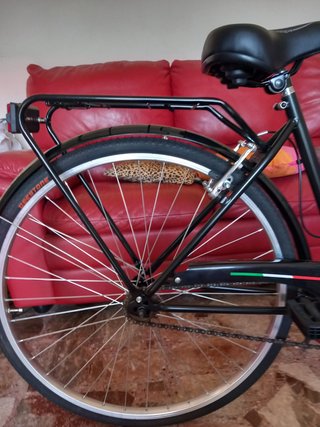 bicicletta per donna