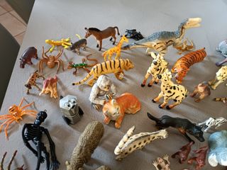 animaletti vari