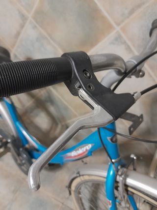 bicicleta paseo 