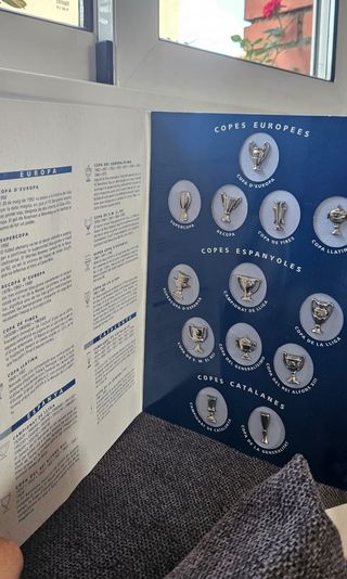 Coleccion de pins LES COPES DEL BARÇA 1899-1993