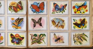 Vida y color, album de cromos