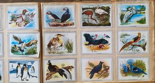 Vida y color, album de cromos