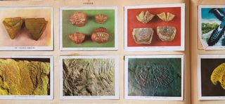 Album de cromos