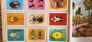 Album de cromos