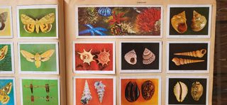Album de cromos