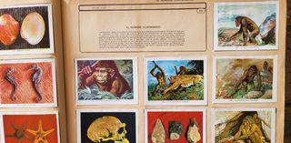 Album de cromos